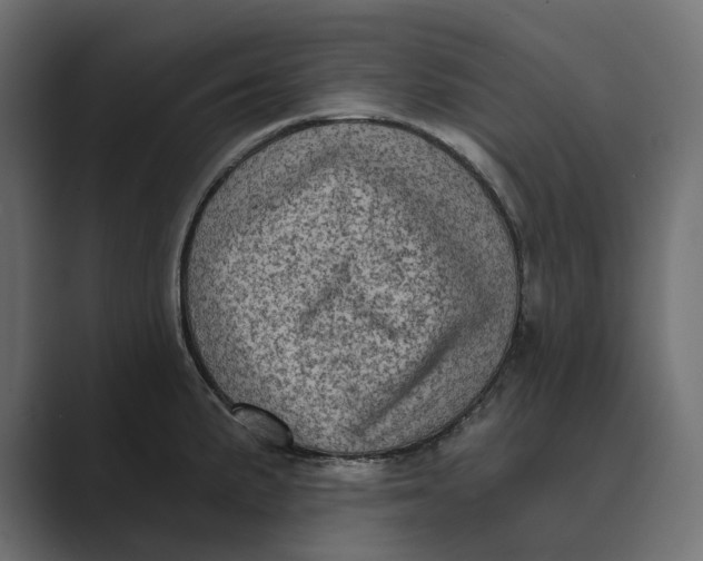 X0000088921191200706291522