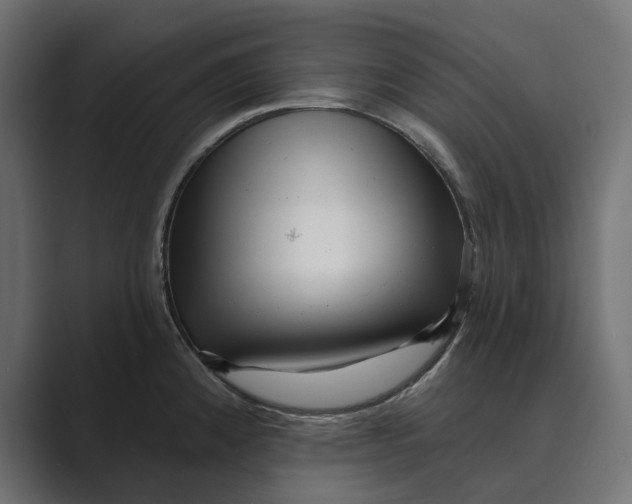 X0000088921192200706291521