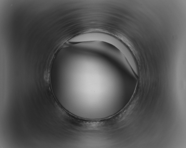 X0000088921193200706291521