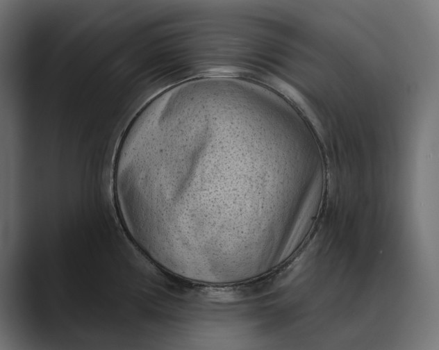 X0000088921194200706291521