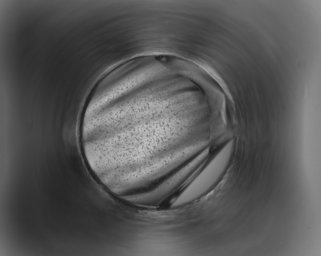 X0000088921197200706291521