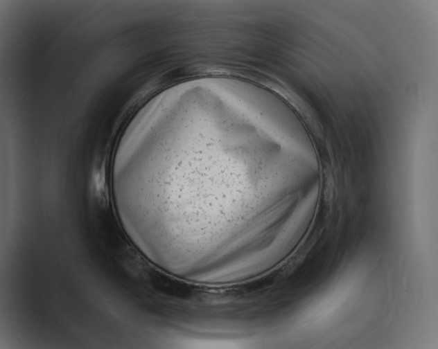 X0000088921198200706291521