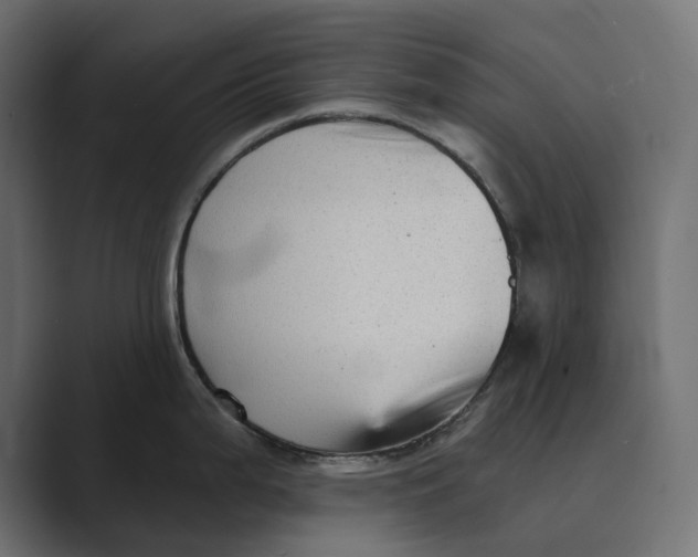 X0000088921199200706291521