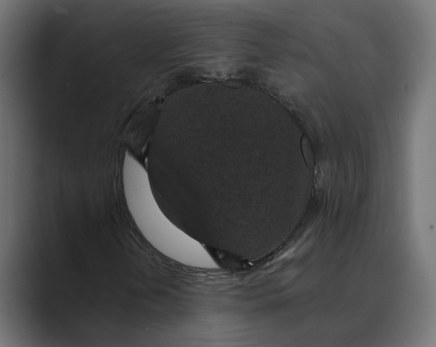X0000088921202200706291521