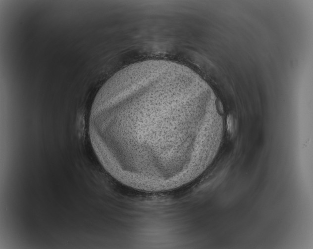 X0000088921203200706291521