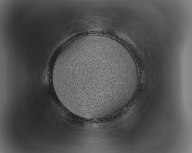 X0000088921208200706291521