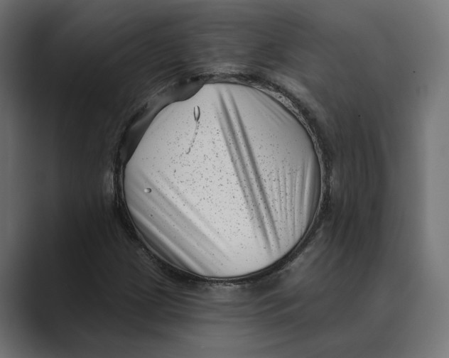X0000088921209200706291521