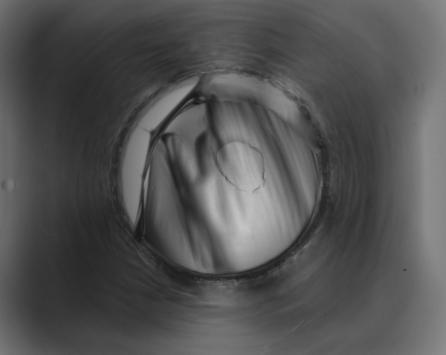 X0000088921210200706291521
