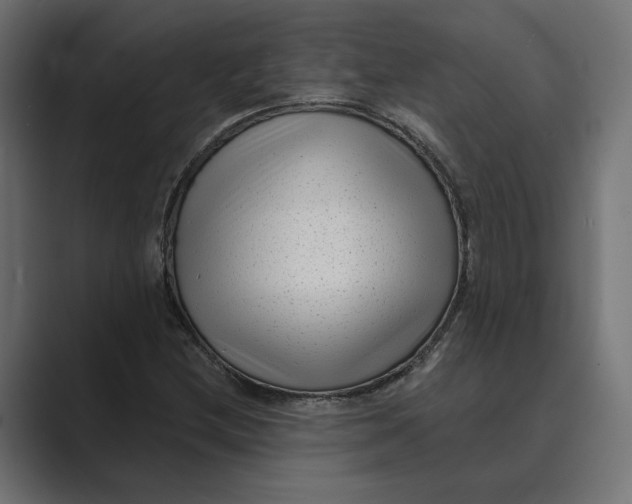 X0000088921212200706291521