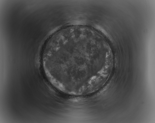 X0000088921213200706291521