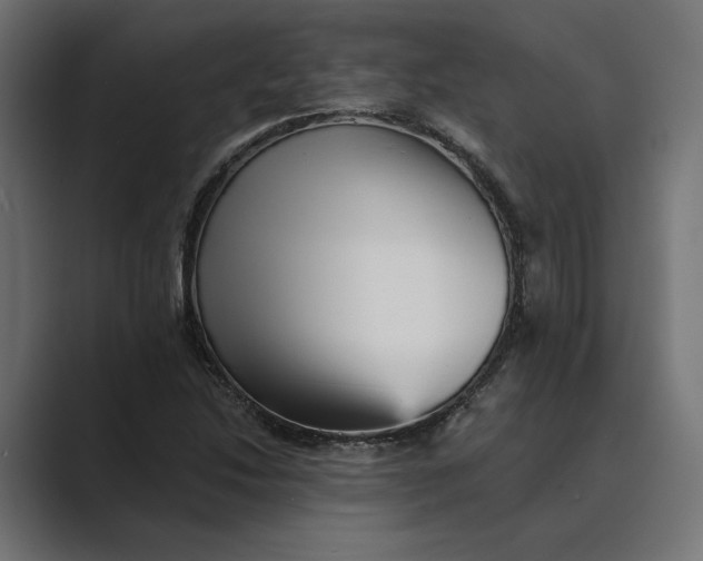 X0000088921214200706291521