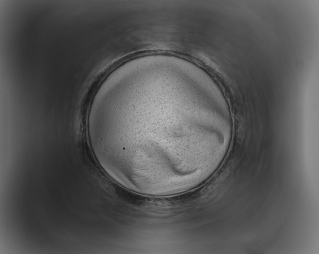 X0000088921215200706291521