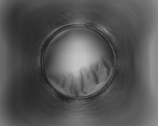 X0000088921216200706291521