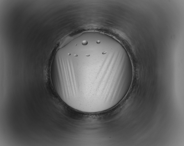 X0000088921217200706291521