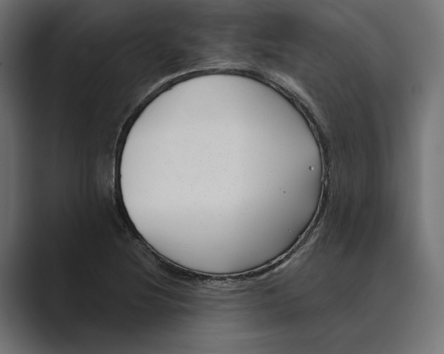 X0000088921220200706291521