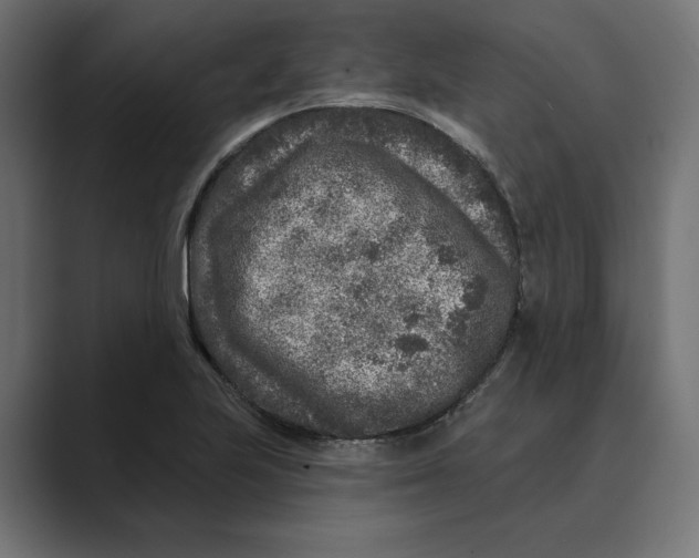 X0000088921223200706291521