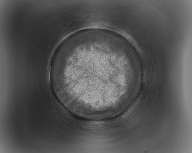 X0000088921224200706291521