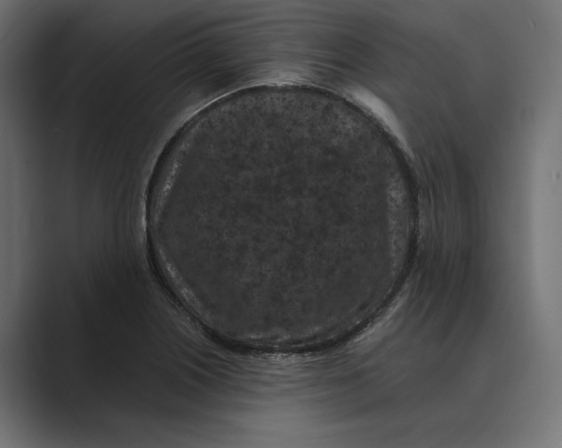 X0000088921226200706291521
