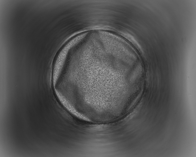 X0000088921228200706291521