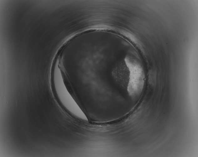 X0000088921229200706291521