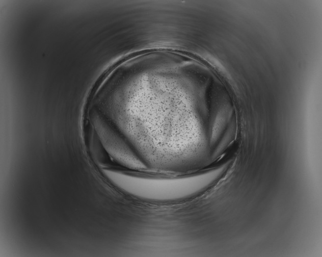 X0000088921230200706291521