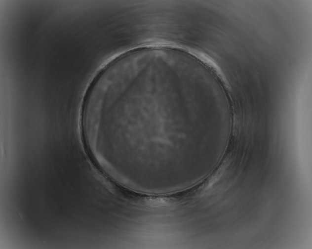 X0000088921231200706291521