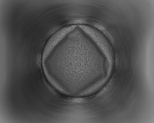 X0000088921233200706291521