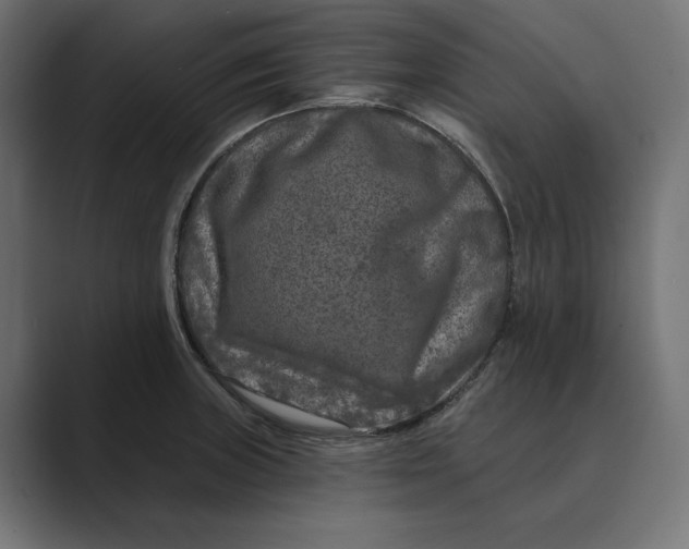 X0000088921235200706291521