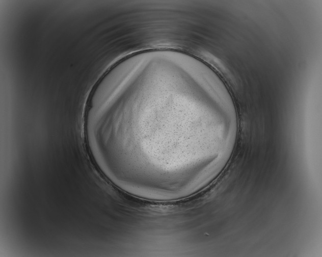 X0000088921236200706291521