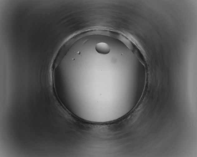 X0000088921238200706291521