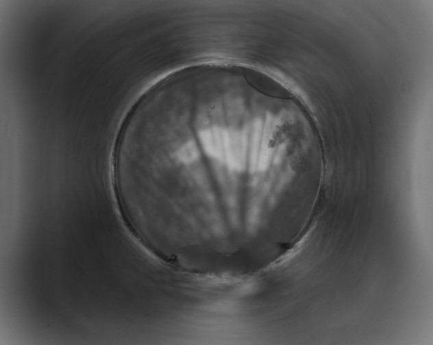X0000088921239200706291521