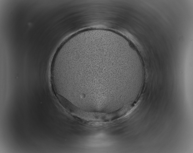X0000088921240200706291521