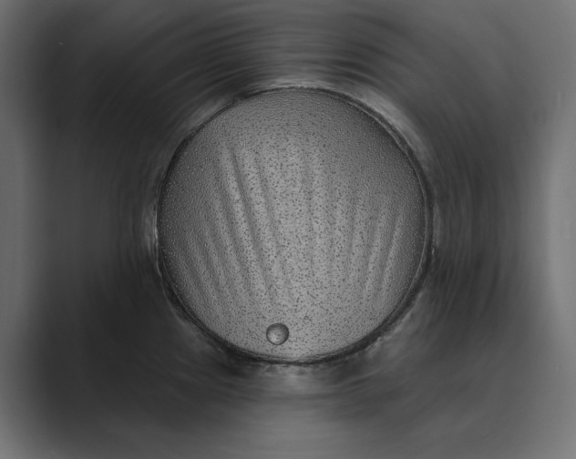 X0000088921241200706291521