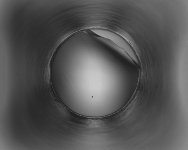 X0000088921242200706291521