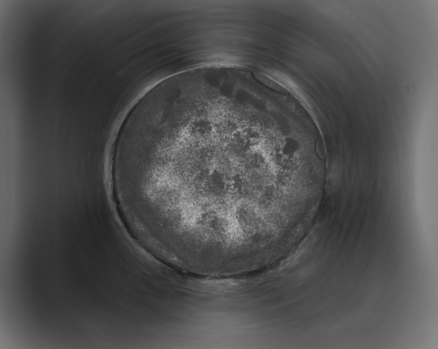X0000088921243200706291521