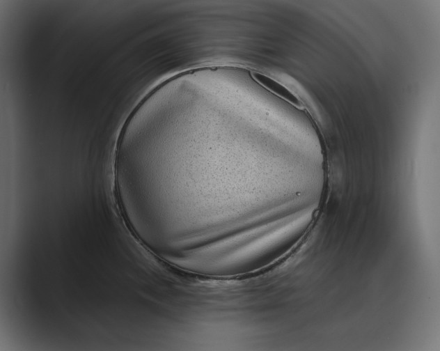 X0000088921244200706291521