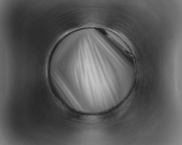 X0000088921246200706291521