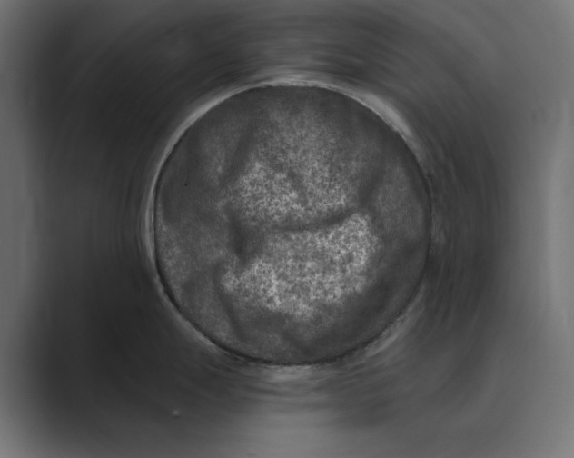 X0000088921247200706291521