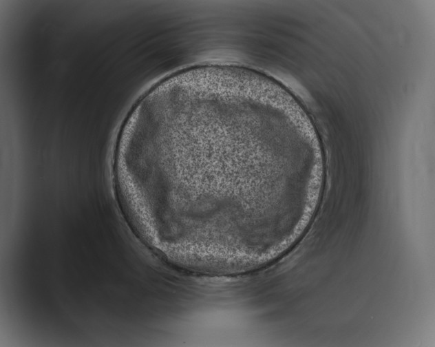 X0000088921248200706291521