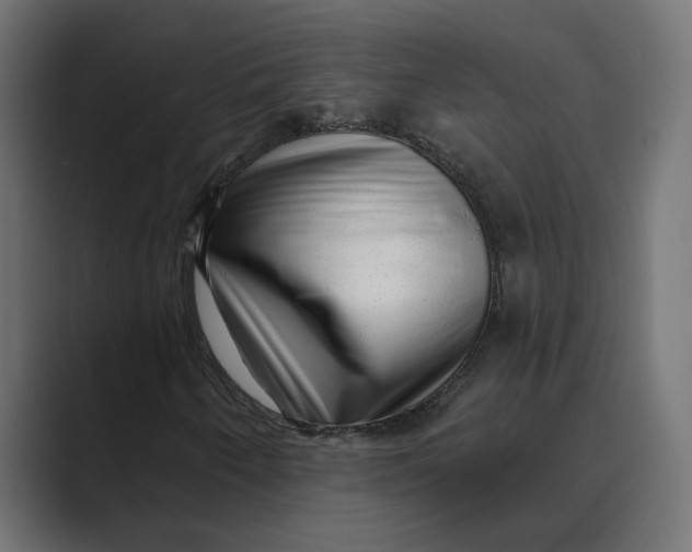 X0000088921250200706291521