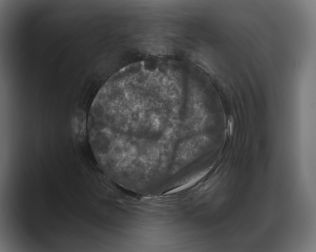 X0000088921251200706291521