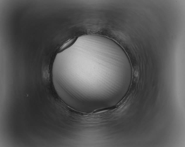X0000088921252200706291521