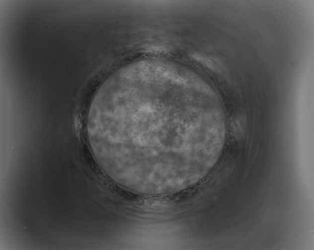 X0000088921254200706291521