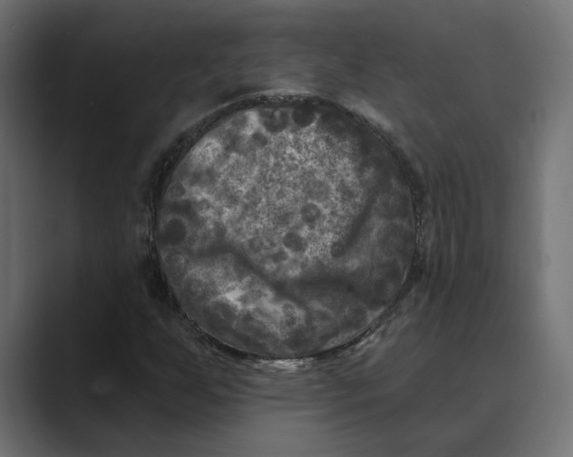 X0000088921255200706291521