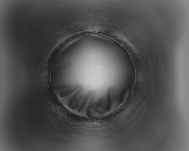 X0000088921256200706291521