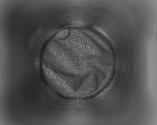 X0000088921259200706291521