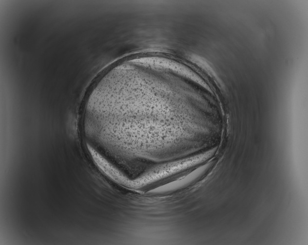 X0000088921260200706291521