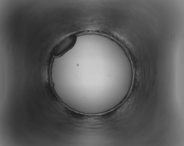 X0000088921262200706291521