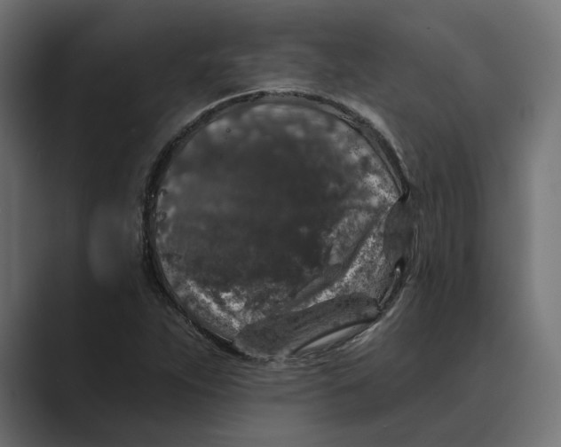 X0000088921263200706291521