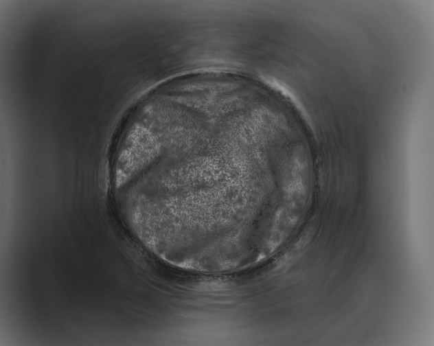 X0000088921267200706291521